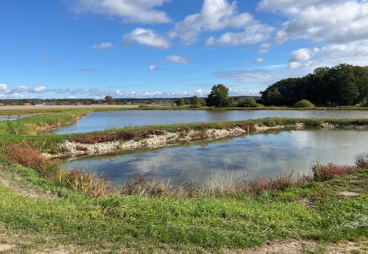 22-10-06 11-06-39 2402